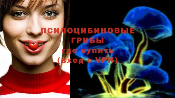 гашик Снежногорск