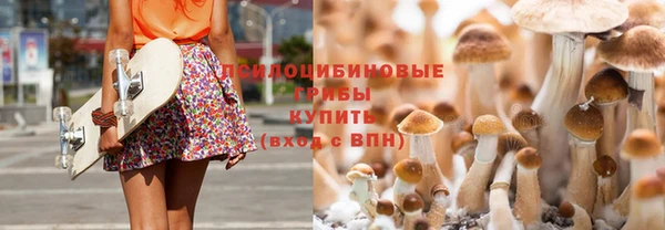 ГАЛЛЮЦИНОГЕННЫЕ ГРИБЫ Богородицк