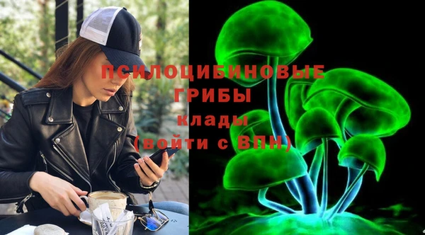 COCAINE Богородск