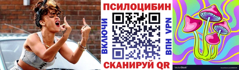 как найти наркотики  Волжск  Галлюциногенные грибы Psilocybe 
