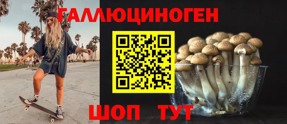 Галлюциногенные грибы Psilocybine cubensis Волжск