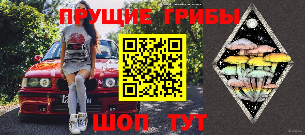 Волжск  Псилоцибиновые грибы мухоморы  Вход с VPN  Галлюциногенные грибы прущие грибы 